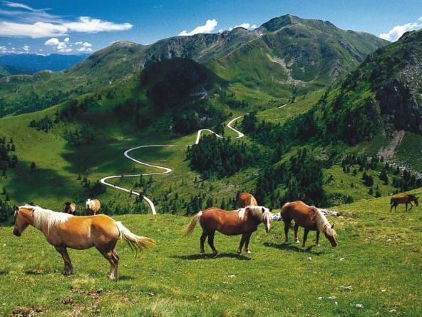 Apartament Haus Nadja Bad Kleinkirchheim Zewnętrze zdjęcie