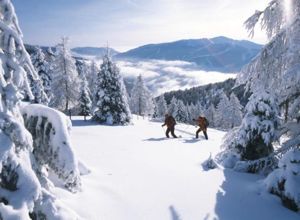 Apartament Haus Nadja Bad Kleinkirchheim Zewnętrze zdjęcie